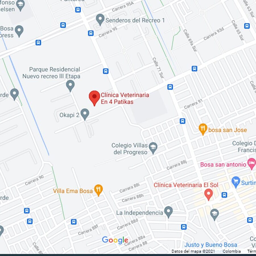 ubicación clinica